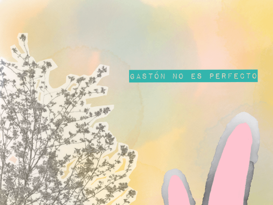 Gastón no es perfecto