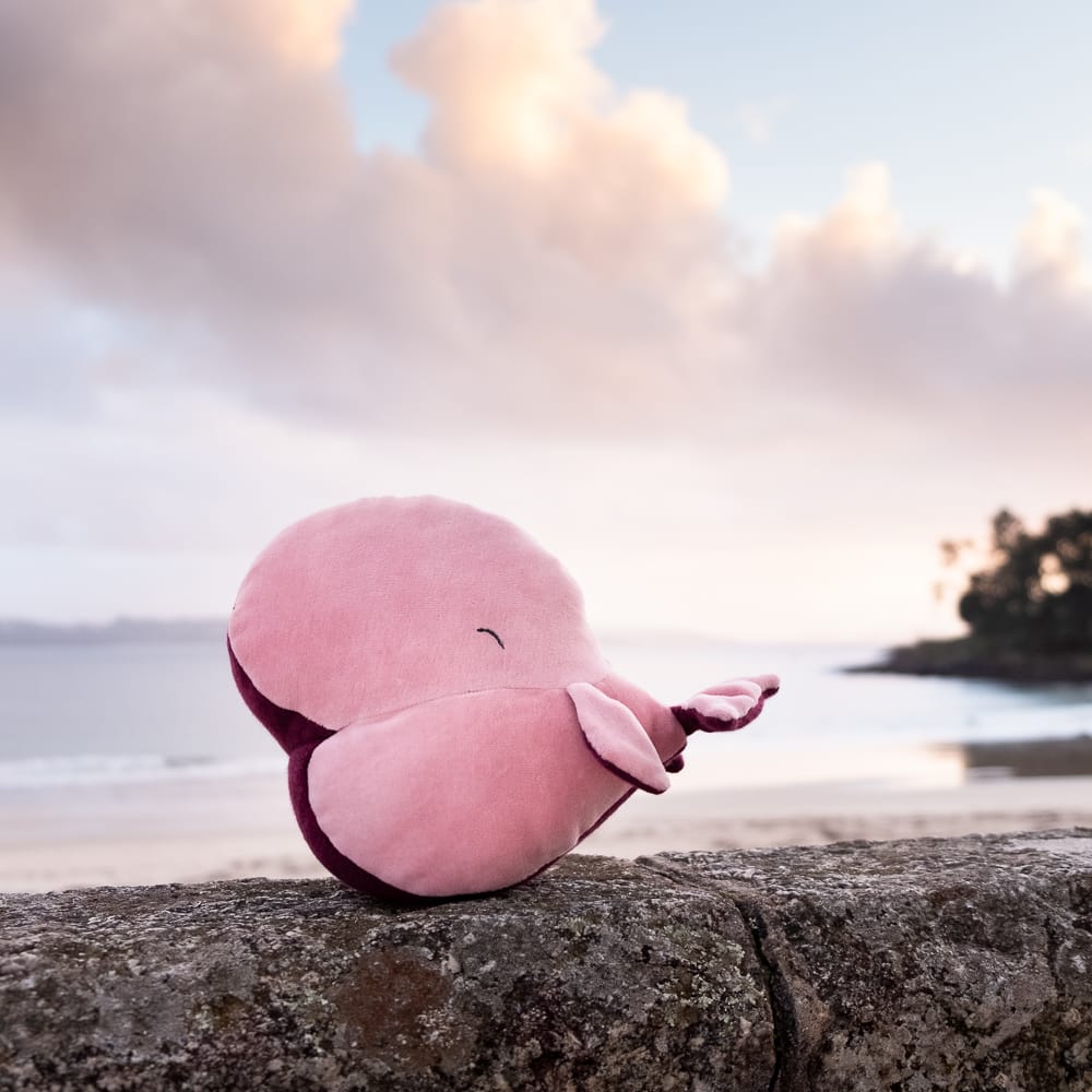 Testimonios - The Misia Project - Costa de Marfil